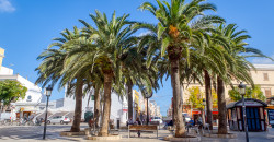 Plaza de Alfonso III