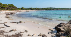 Playa Son Saura - Bellavista